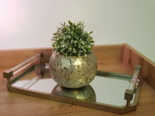 Alezzi-retreat Apartment