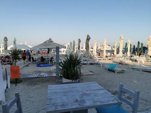 Cozy Apartment Mamaia