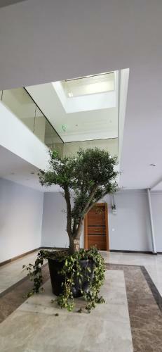Cozy Apartment Mamaia