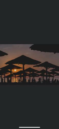 Delice Apartament Mamaia