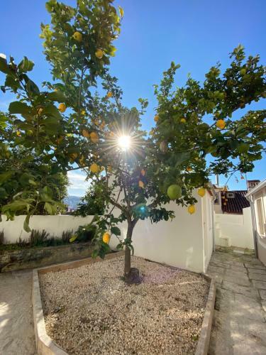 Apartamento S� Velha Studios