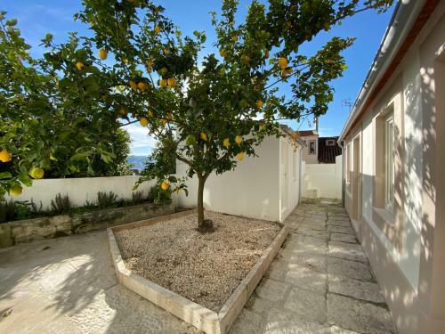 Apartamento S� Velha Studios