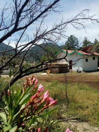 Hotel ?ztuzu Homes