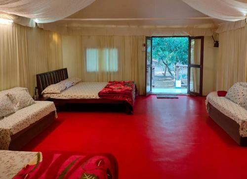 Agroturismo Green Environment Stay
