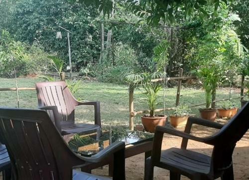 Agroturismo Green Environment Stay