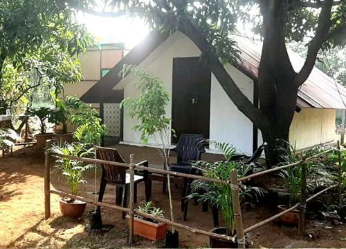 Agroturismo Green Environment Stay