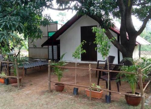 Agroturismo Green Environment Stay