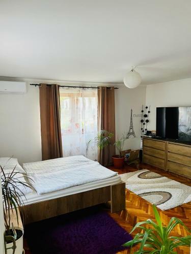Apartamento Pol-lak