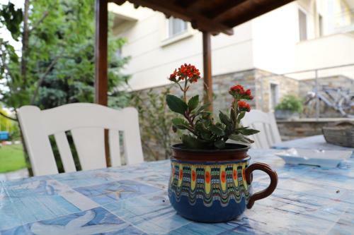 Belle Maison