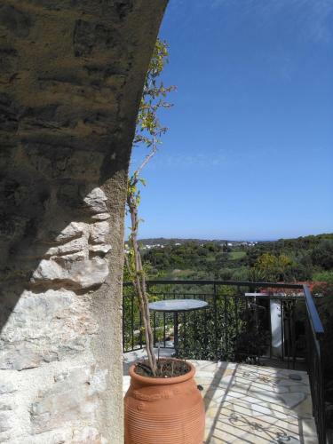 Apartamento Irina Studios
