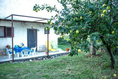 Apartman ?ina