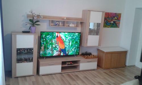 Apartman Tomi?