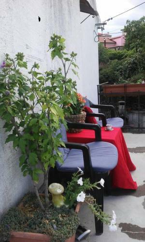 Apartamentos Studio Fortuna