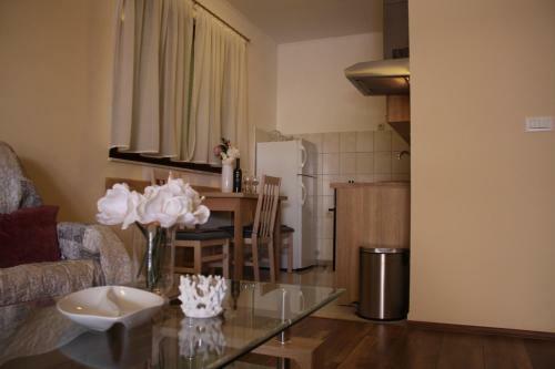 Studio Apartman Ana
