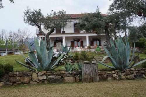 Bed & Breakfast La Casa Di Gi�