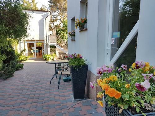 Bed & Breakfast Dom Wczasowy Danusia