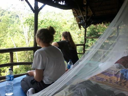 Lovely Jungle Lodge & Treking