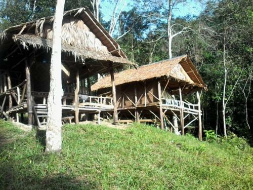 Lovely Jungle Lodge & Treking