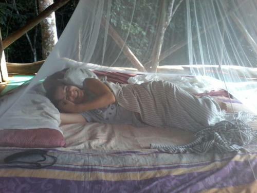 Lovely Jungle Lodge & Treking