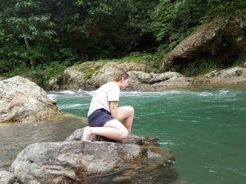 Lovely Jungle Lodge & Treking
