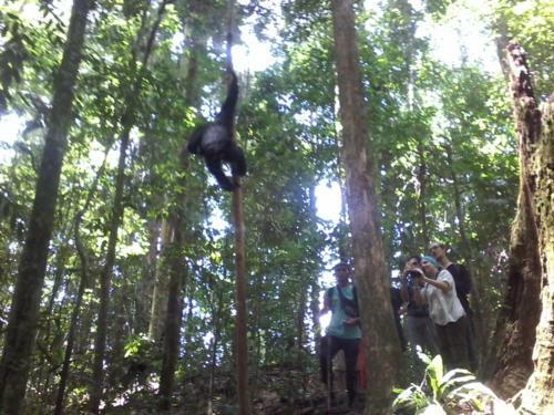 Lovely Jungle Lodge & Treking