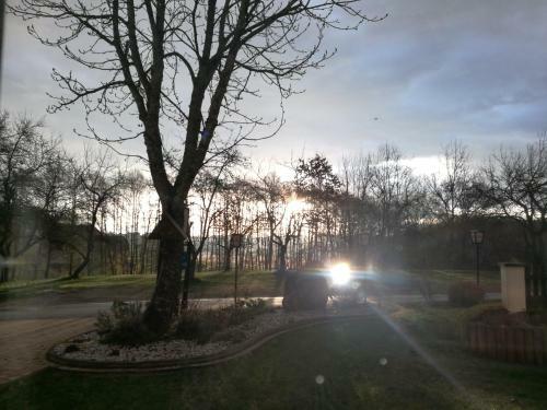 Bed & Breakfast Landgasthof Piroutz