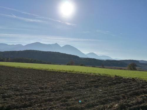 Bed & Breakfast Landgasthof Piroutz
