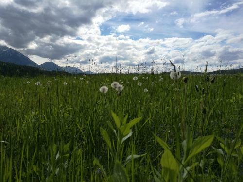 Bed & Breakfast Landgasthof Piroutz
