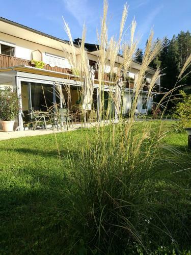 Bed & Breakfast Landgasthof Piroutz