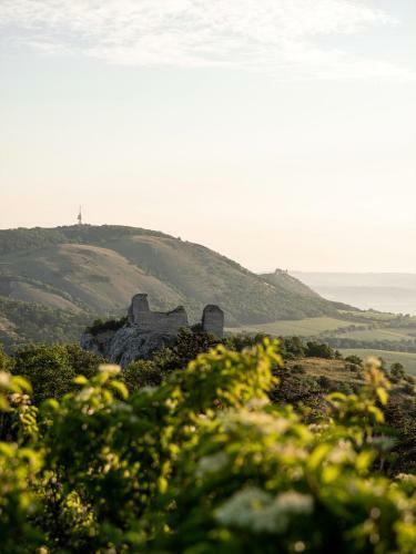 Bed & Breakfast Marin�da Vini?n� D?m