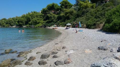 Hostal Eftopia Martino Pansion