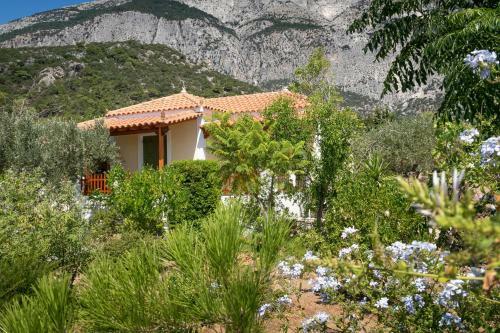 Apartamento Pleiades Samos