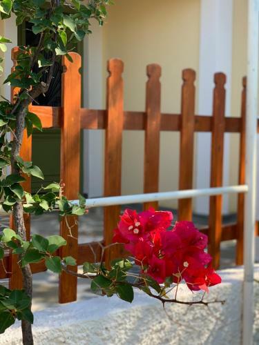 Apartamento Pleiades Samos