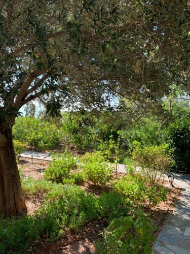 Apartamento Pleiades Samos