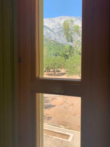 Apartamento Pleiades Samos