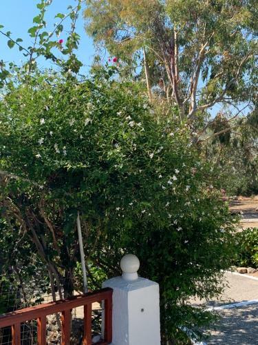 Apartamento Pleiades Samos