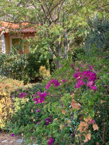 Apartamento Pleiades Samos