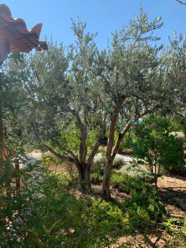 Apartamento Pleiades Samos