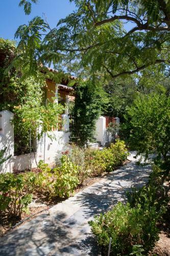 Apartamento Pleiades Samos