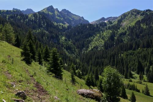 Hotel H�tel Le Relais Alpin