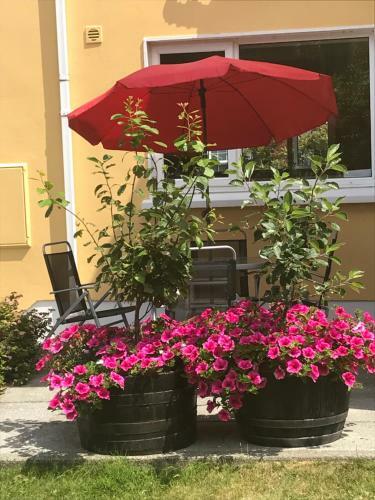 Liosderrig House B&B