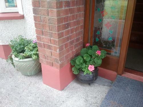 Rocksberry Bed & Breakfast