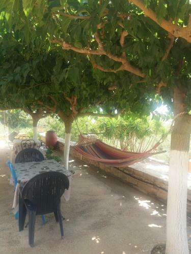 Apartamento Pasiphae