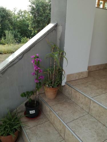 Apartments Milena