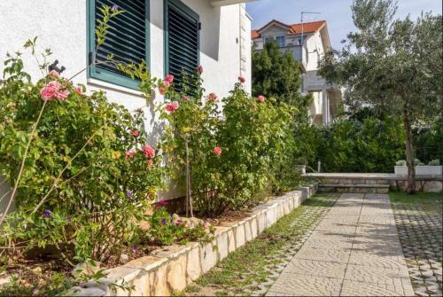 Apartamentos Villa Olive