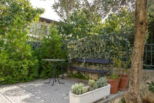 Apartamentos Villa Olive