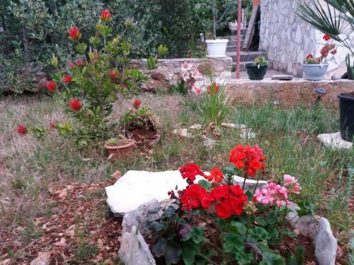 Apartman Lea