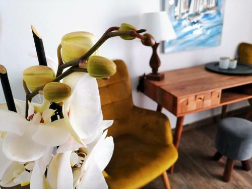 Apartamento Kipos Villas & Suites