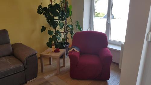 Apartamento Mariva21