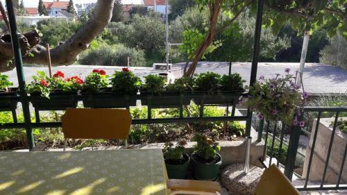 Hostal Apartmani Sandra Prpi?